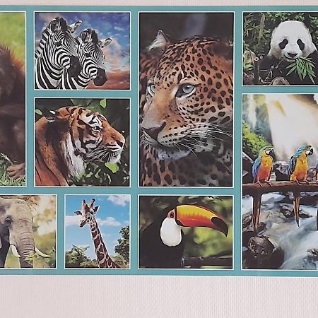 Appartamento Animalier Joigny Esterno foto