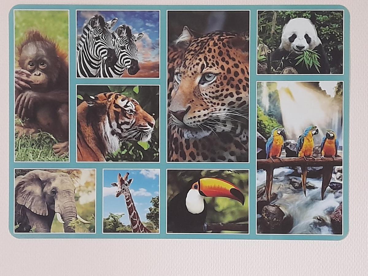 Appartamento Animalier Joigny Esterno foto